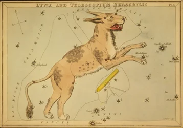 Lynx and Telescopium Herschilii, Illustration from 