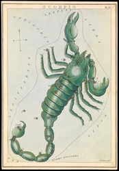Scorpio, c.1825
