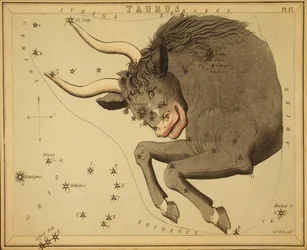Taurus, Illustration from 
