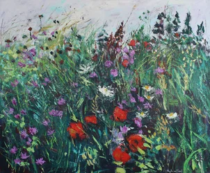 Wild Flower Meadow