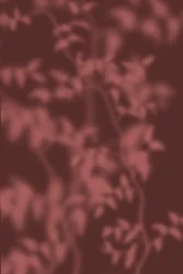 Soft Botanical Shadows