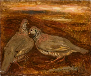 Two Birds