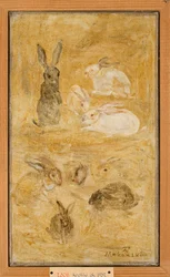 Rabbits