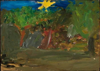 Sun over the Garden
