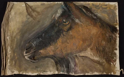 Study of a Goat