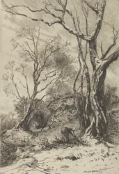 In Winter