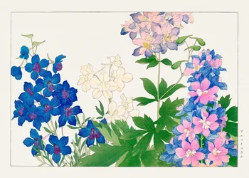 Delphinium Flower from "Seiyou Sokazufu"