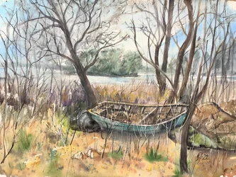 Abandoned River Boat