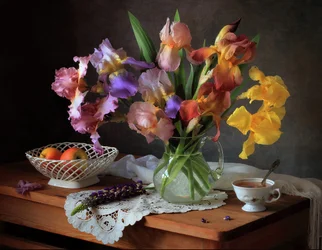 Colorful Irises Still Life