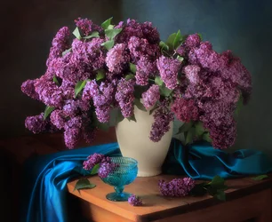 Moody Lilac Still Life
