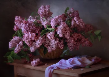 Romantic Lilac Still Life