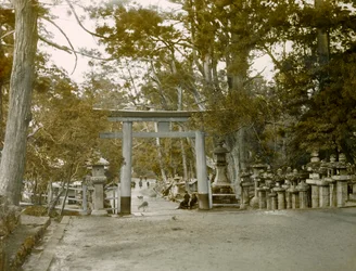 Entrance to the Lantern Shrine in Kasuga Taisha Park, Nara, circa 1900 - 1915