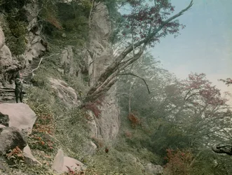 On the Road to the Kegon Waterfalls in Nikko, circa 1900 - 1915