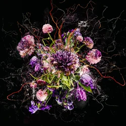 Bouquet IV, 2017