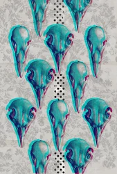 Series of Skulls