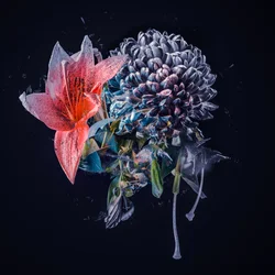 Small Bouquet, 2018