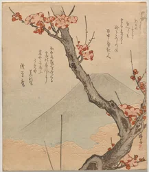 Plum Tree with Mount Fuji
