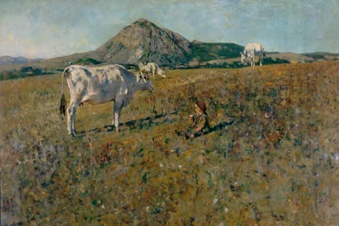 Pasture in Pietramala