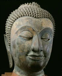 Head of a giant Buddha