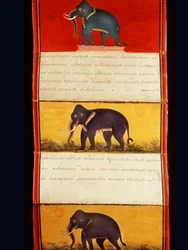 Folio from a Manuscript on Elephant Training