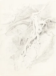 The Yew at Clifton