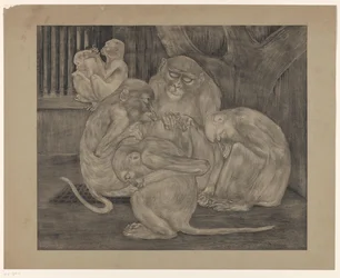 Five Monkeys in a Cage