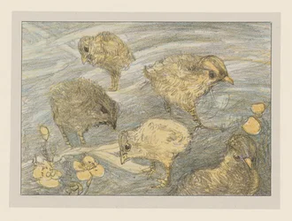 Five Chicks