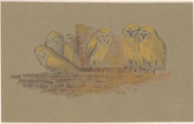Greeting Card with Six Owls
