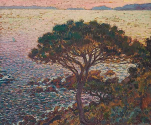 Cap Bénat, Pine on the Coast