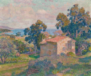 Landscape from Provence