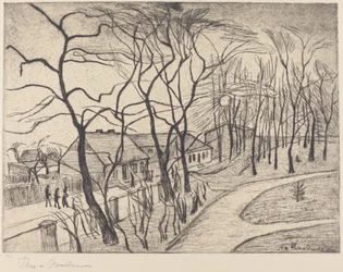 Landscape