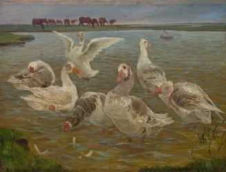 The Geese