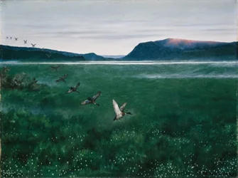 The Twelve Wild Ducks