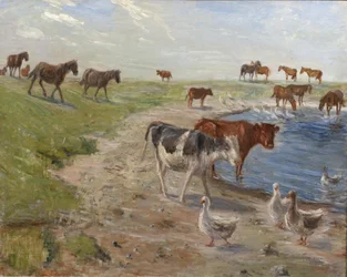Calves and Geese at a Watering Hole on the Island of Saltholm