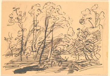 Forest Landscape with Slender Trees
