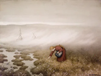 Cotton Grass