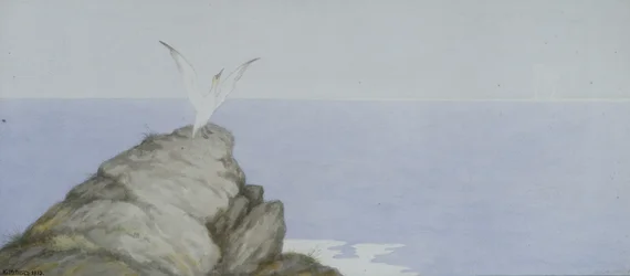 Seabird