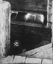 The Black Death
