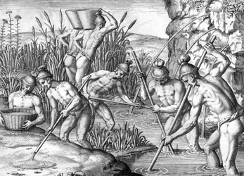 Timucua Indian collecting gold