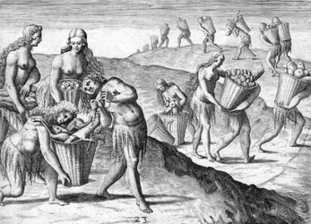 Tribe of the Timucua Indians