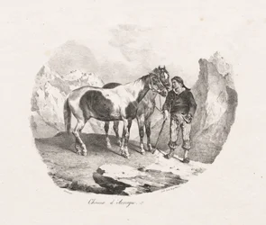 Auvergne horses