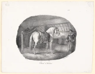 A Hanoverian Horse