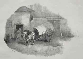 Cart Horse Out of the Shafts