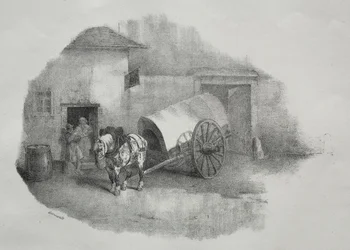 Cart Horse Out of the Shafts