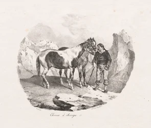 Horses of Auvergne