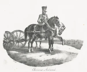 Horses from the Ardennes