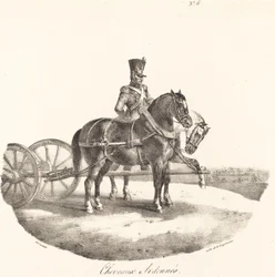 Horses from the Ardennes