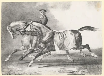 Two Dapple-Grays Being Exercised