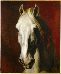 Head of a White Horse