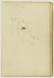 Horse Head